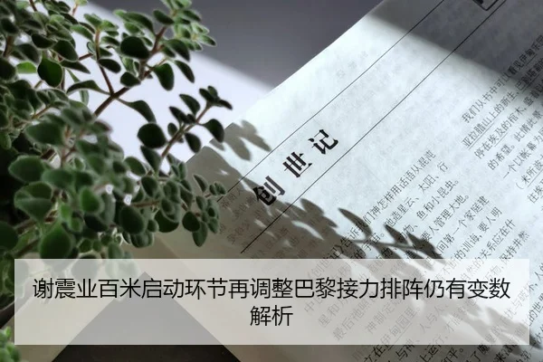 谢震业百米启动环节再调整巴黎接力排阵仍有变数解析