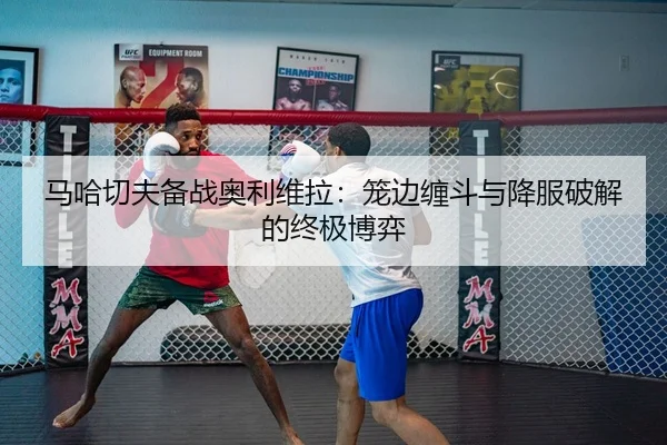 马哈切夫备战奥利维拉：笼边缠斗与降服破解的终极博弈