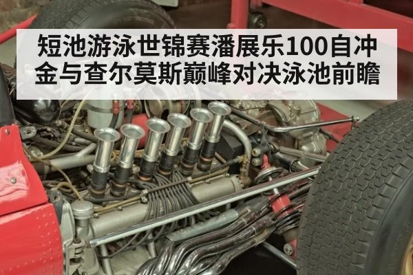 短池游泳世锦赛潘展乐100自冲金与查尔莫斯巅峰对决泳池前瞻